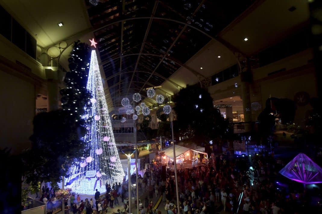 Canberra Family Sets World Record...For Most Christmas Lights On A Tree